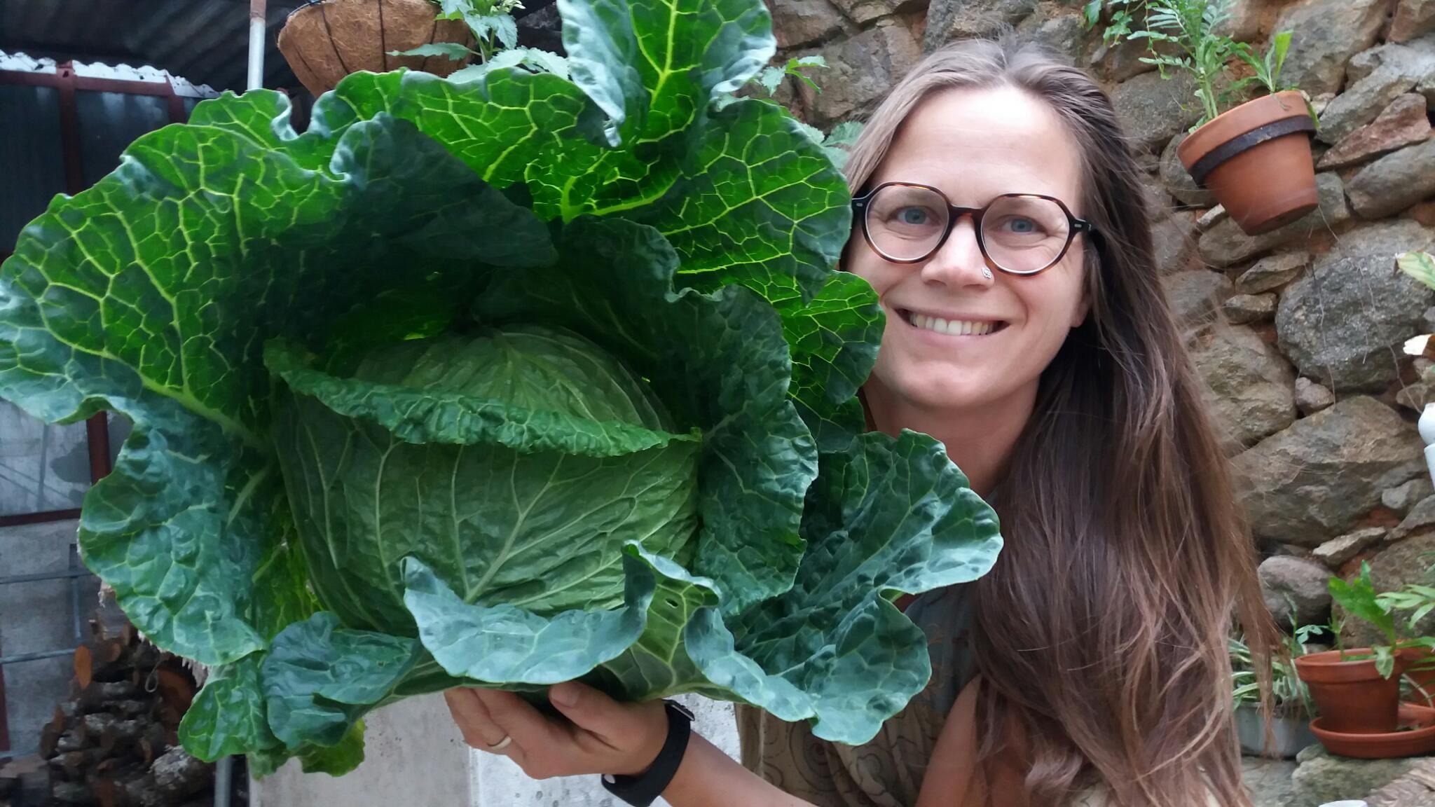 Woman holding a large homegrown cabbage as a symbol of food abundance and practical resilience.