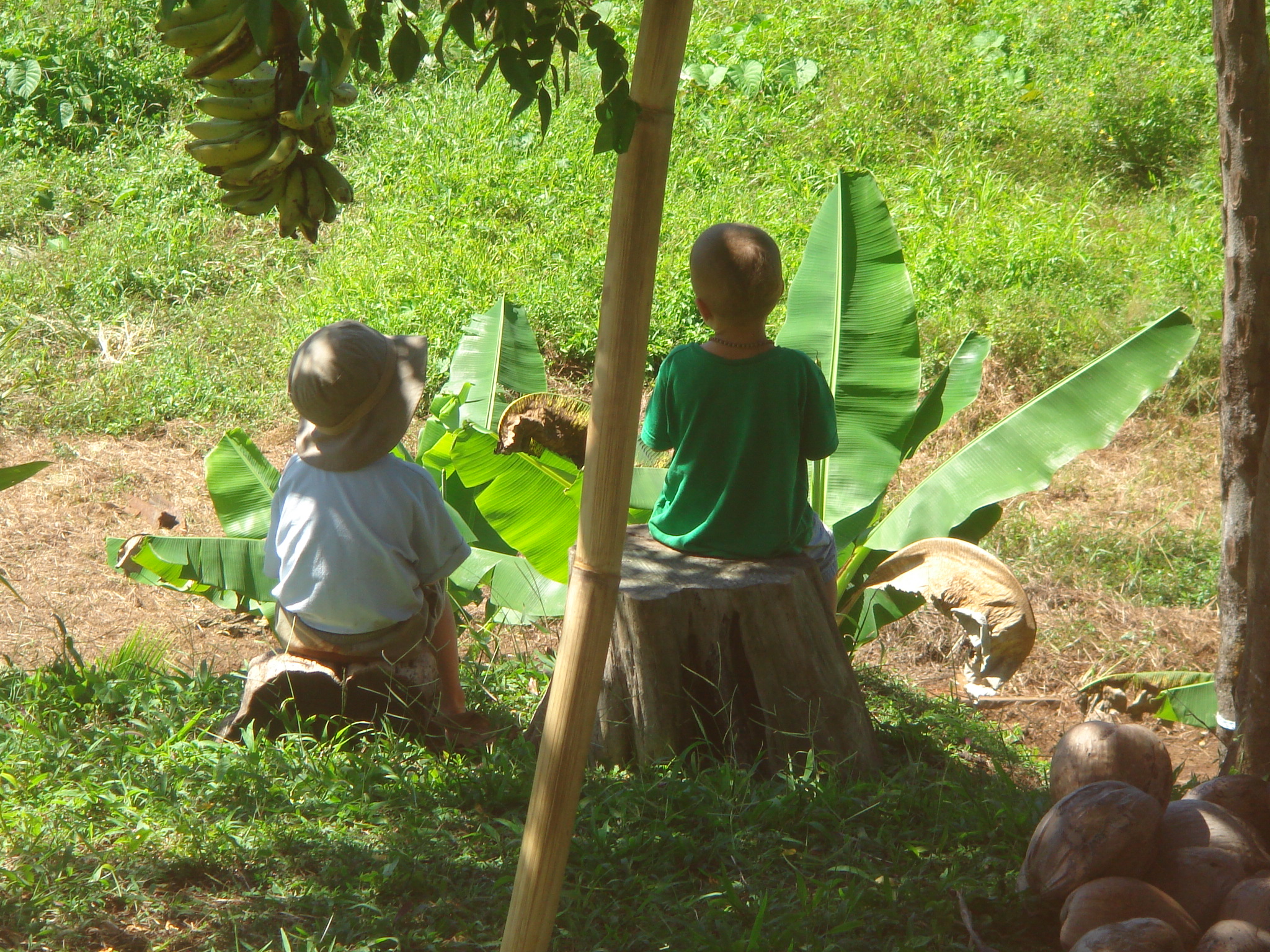 Children sitting together in the garden among banana plants — family, nature and practical daily life
