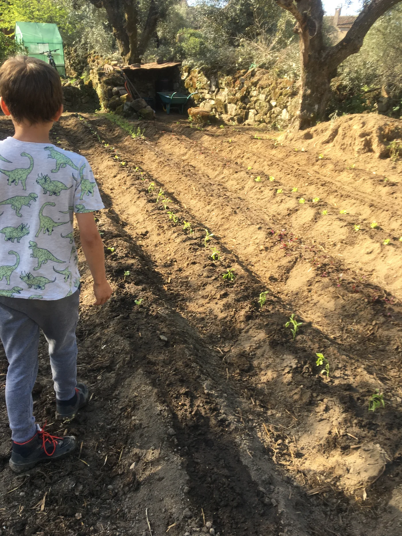 Father and son working together in the garden