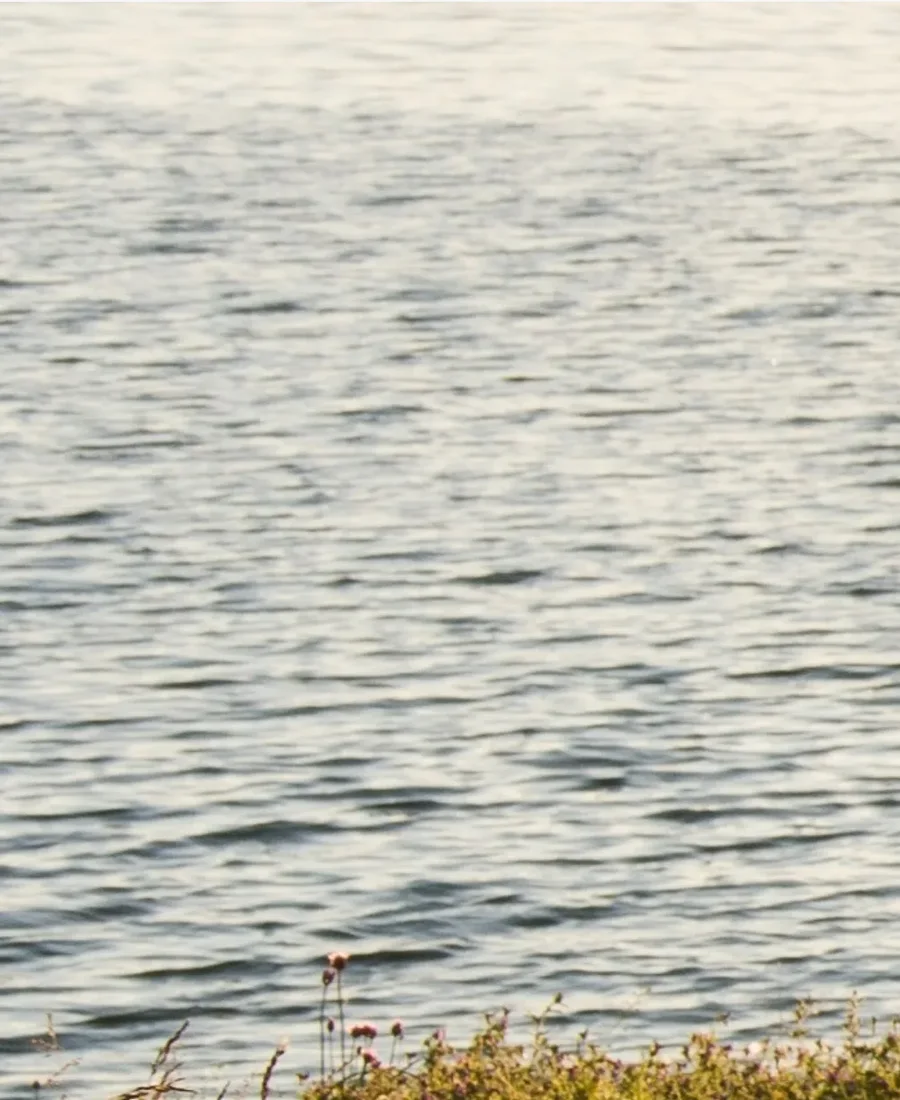 Peaceful river landscape — Transformative Communication with Bharat Berwing